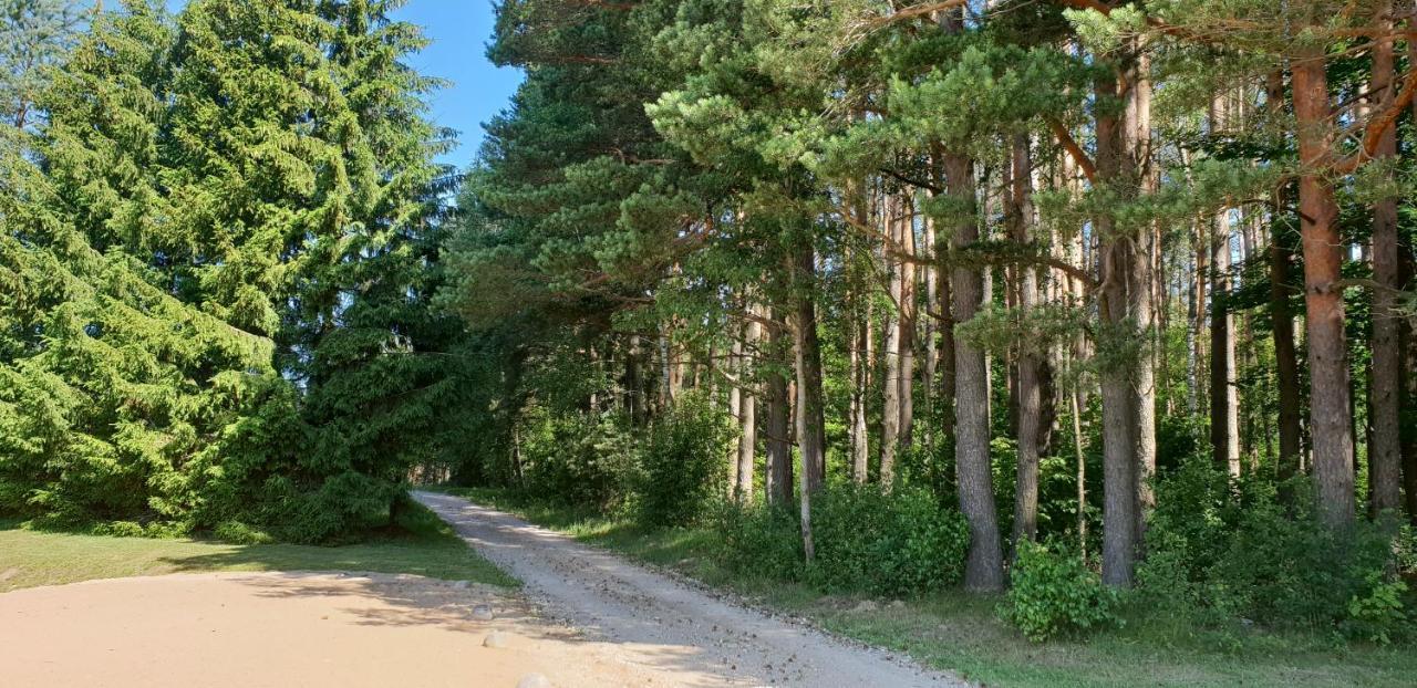 Lazariskio Apartamentai Martiniskenai Zewnętrze zdjęcie
