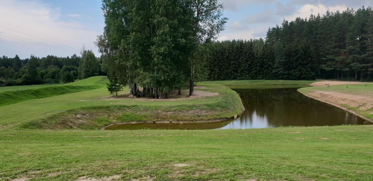 Lazariskio Apartamentai Martiniskenai Zewnętrze zdjęcie