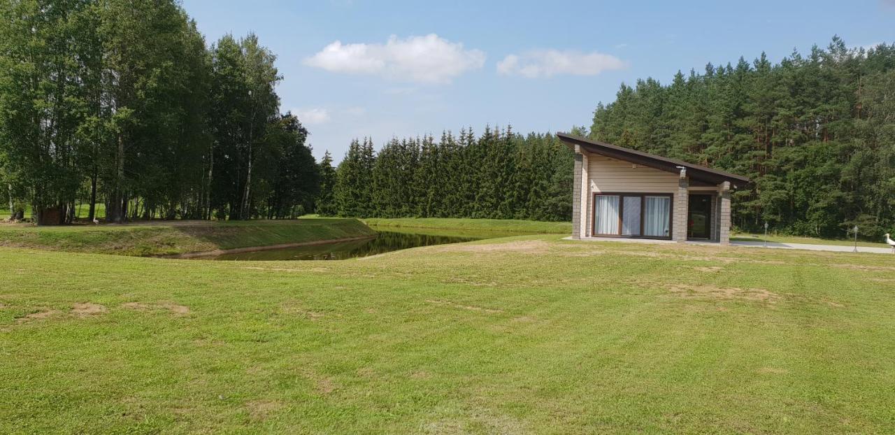 Lazariskio Apartamentai Martiniskenai Zewnętrze zdjęcie